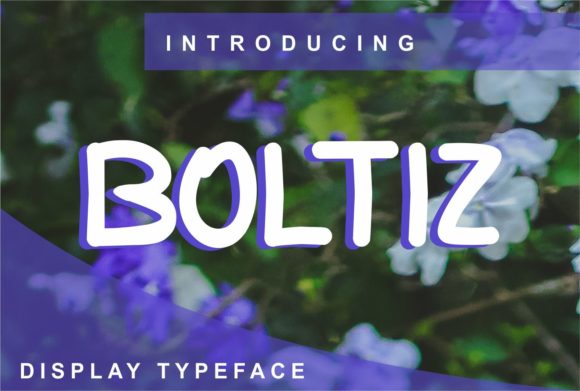 Boltiz Display Font for Modern Web Design Projects