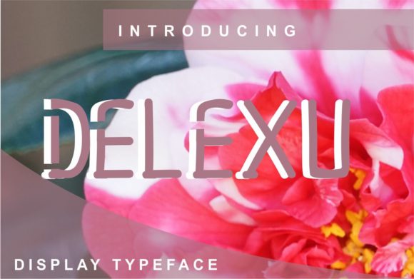 Delexu Display Font for Creative Projects