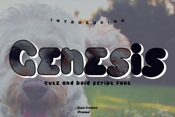 Genesis Display Font: A Friendly Typeface for Memorable Branding